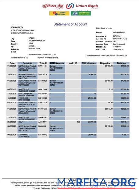 Realistic India Union bank account statement word version 2 template
